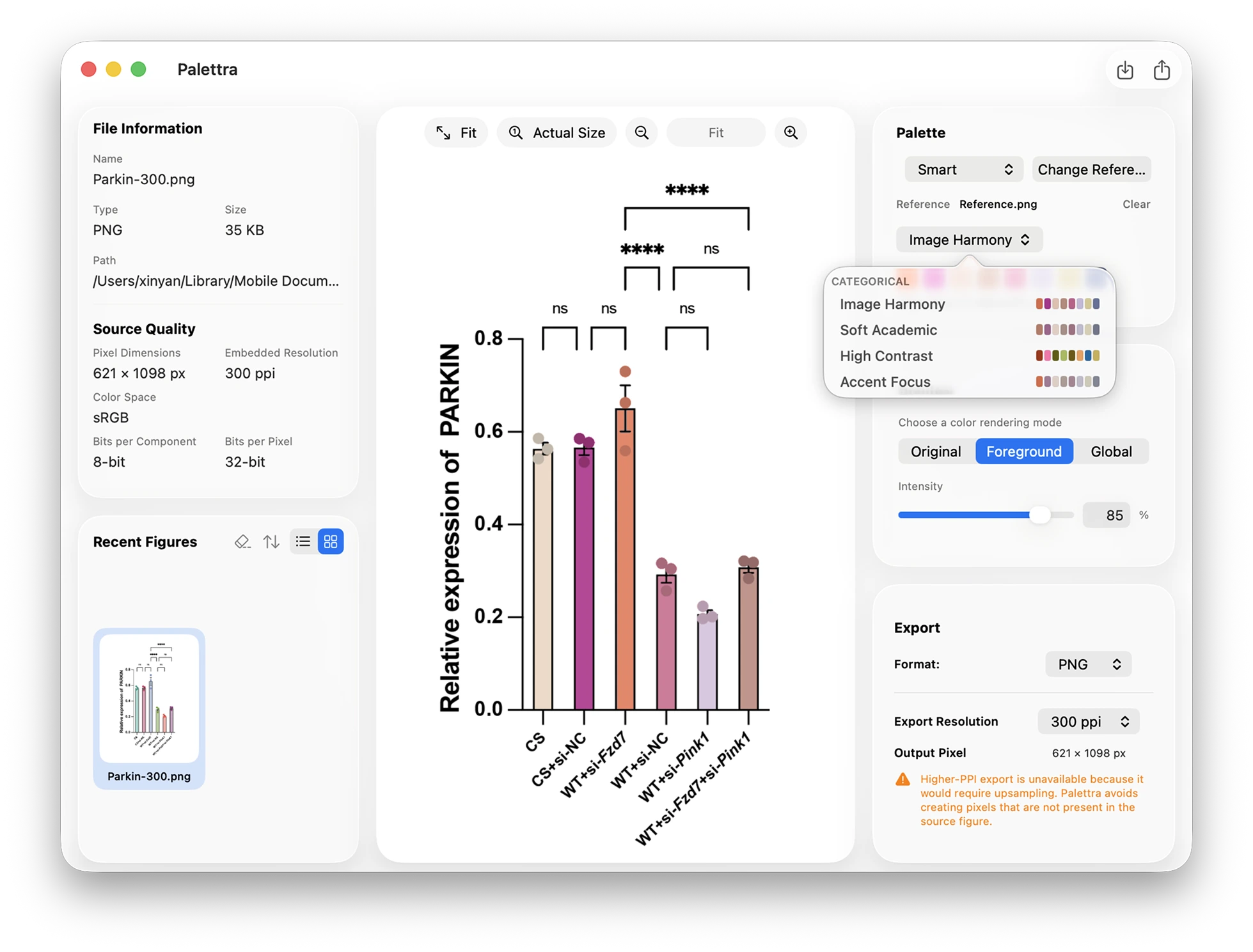 Palettra adaptive palette generation preview