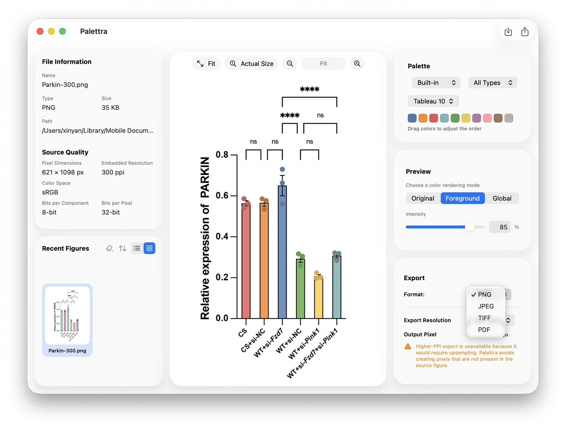 Palettra high-quality scientific figure export preview